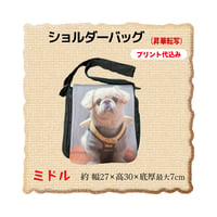 ショルダーバッグ　ミドル