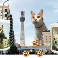 マグカップ