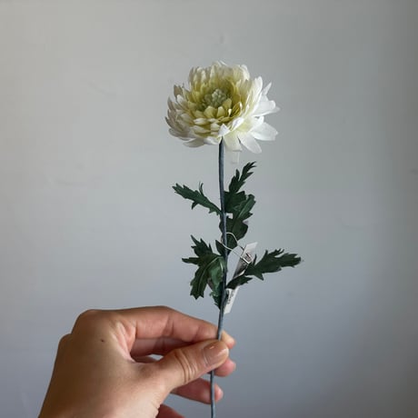 布花 | STORES