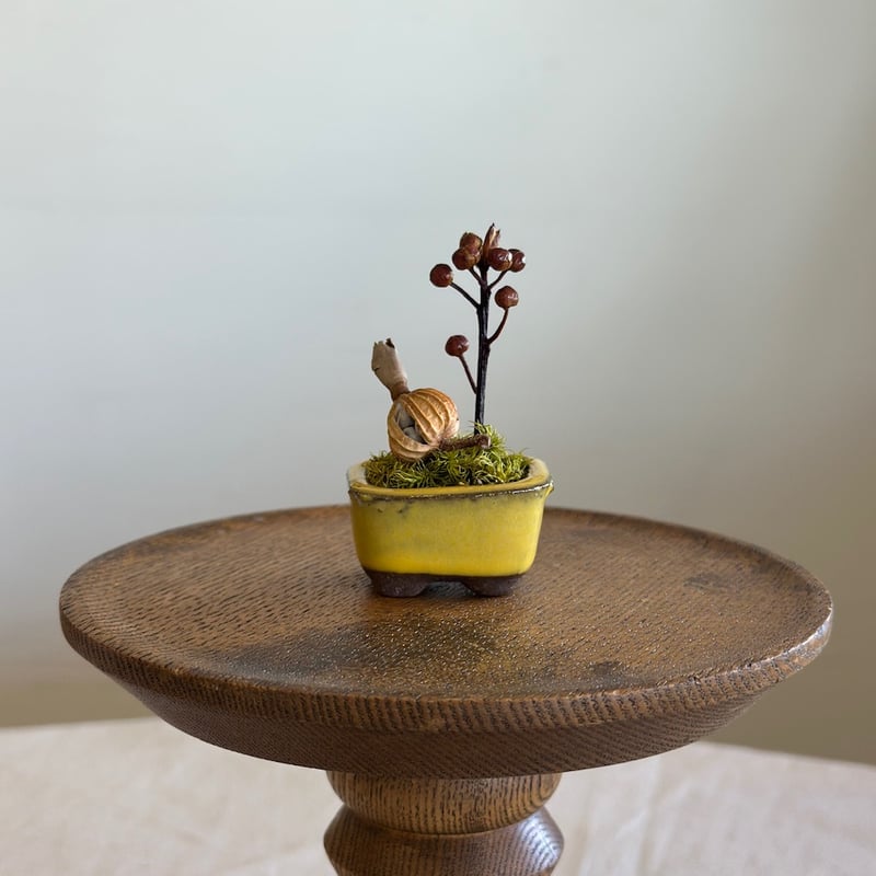 小さな陶器のドライオブジェ（neem） | 撓撰 _tawawa_