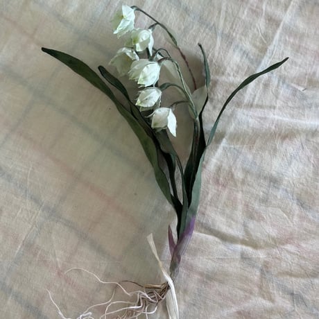布花 | STORES