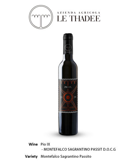 Pio IX ピオ 9 2019 /デザート赤ワイン-Montefalco Sagrantino Passito D.O.C.G.