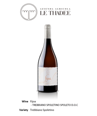 Fijoa フィヨア2022/ 白ワイン -Trebbiano Spoletino Spoleto D.O.C.
