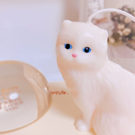 chat blanc candle