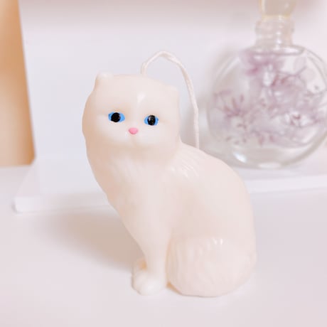 chat blanc candle