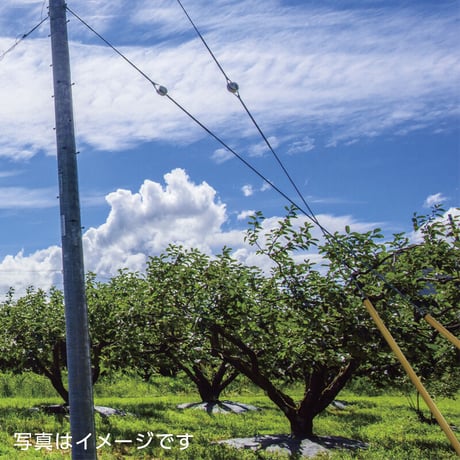 支線ガード φ71×2m (1本)