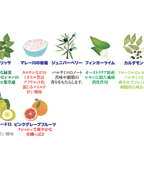 ジンプリモ オチェアニア Gin Primo Oceania クラフトジン 700ml