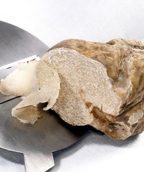 BLACK GOLD サマー黒トリュフ塩 100g