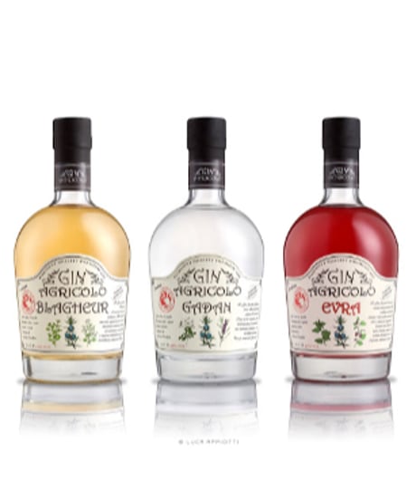 ジン アグリコロ ブラゲール Cantine Sant'Agata GIN AGRICOLO BLAGHEUR 700ml