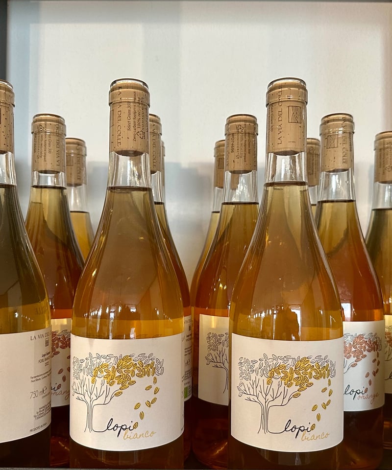 ラ ヴィア デル コッレ ロピ ビアンコ 2023【LA VIA DEL COLLE LOPI