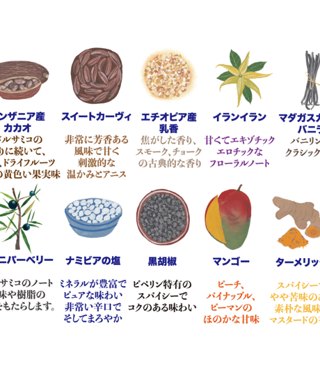 ジンプリモ アフリカ Gin Primo Africa クラフトジン 700ml