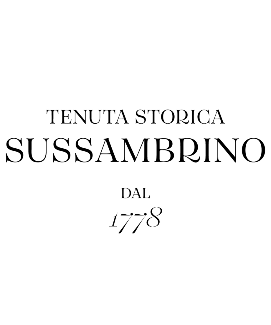 69d8b4c7ebcaaf42fca9d5fe