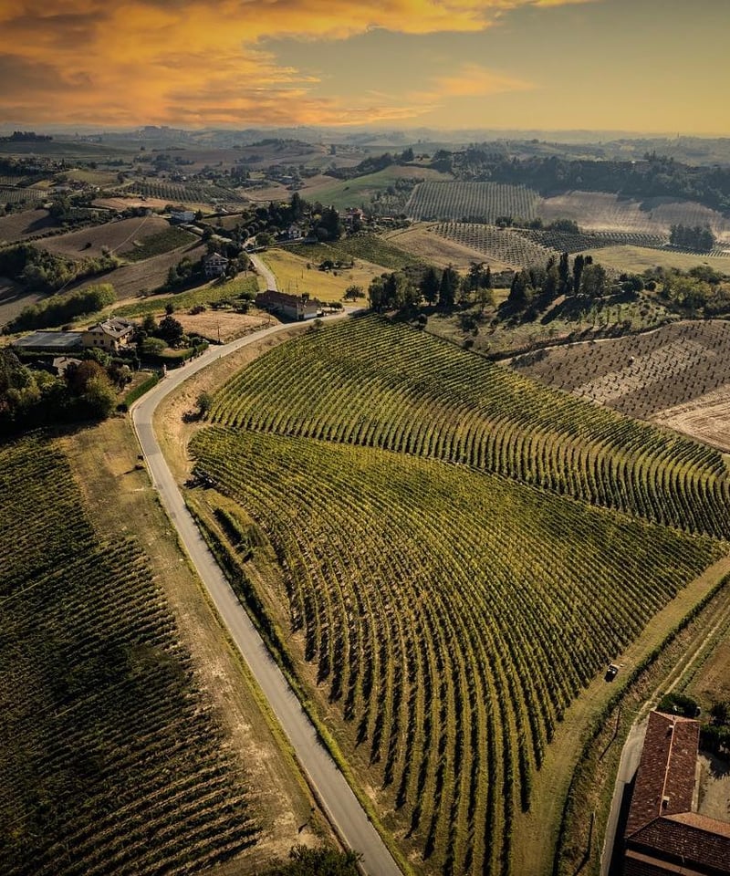 ジン アグリコロ ガダン Cantine Sant'Agata GIN AGRICOLO GA