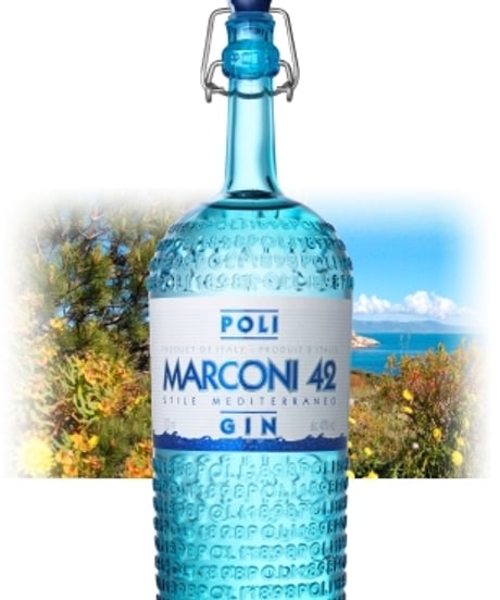 ポーリ　マルコーニ 42ジン / POLI MARCONI 42 GIN