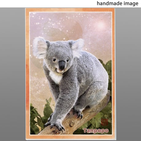 コアラ様 リクエスト 2点 まとめ商品 コアラ様 リクエスト 2点 まとめ商品 コアラ様 リクエスト 2点