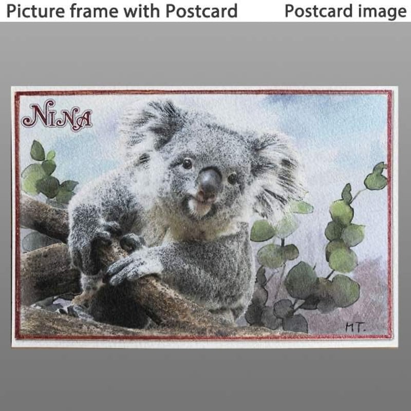 コアラ コアラ 額入りポストカード Nina #064 | コアラの森