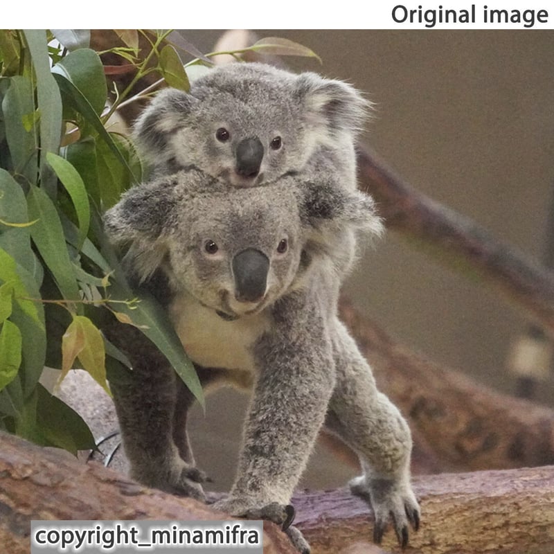 玖保キリコ　リトグラフ　額縁　動物 玖保キリコ リトグラフ 額縁 動物