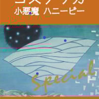 コスタリカ　小悪魔　ハニービー(100g豆・100g粉)