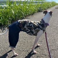 カモフラ柄タンクロンパース
