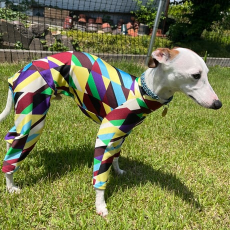 Jewelamor イタグレ服 Qoo10] 送料無料 イタリアングレーハウンド 服 : 犬用品