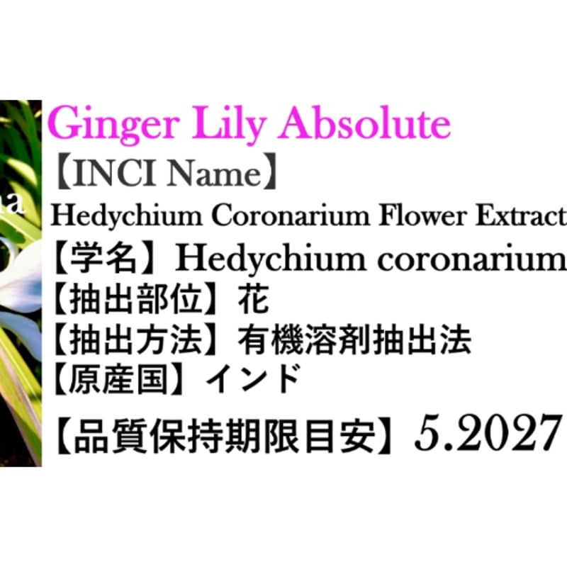 生花を思わせるエキゾチックな香り】ジンジャーリリーアブソリュート