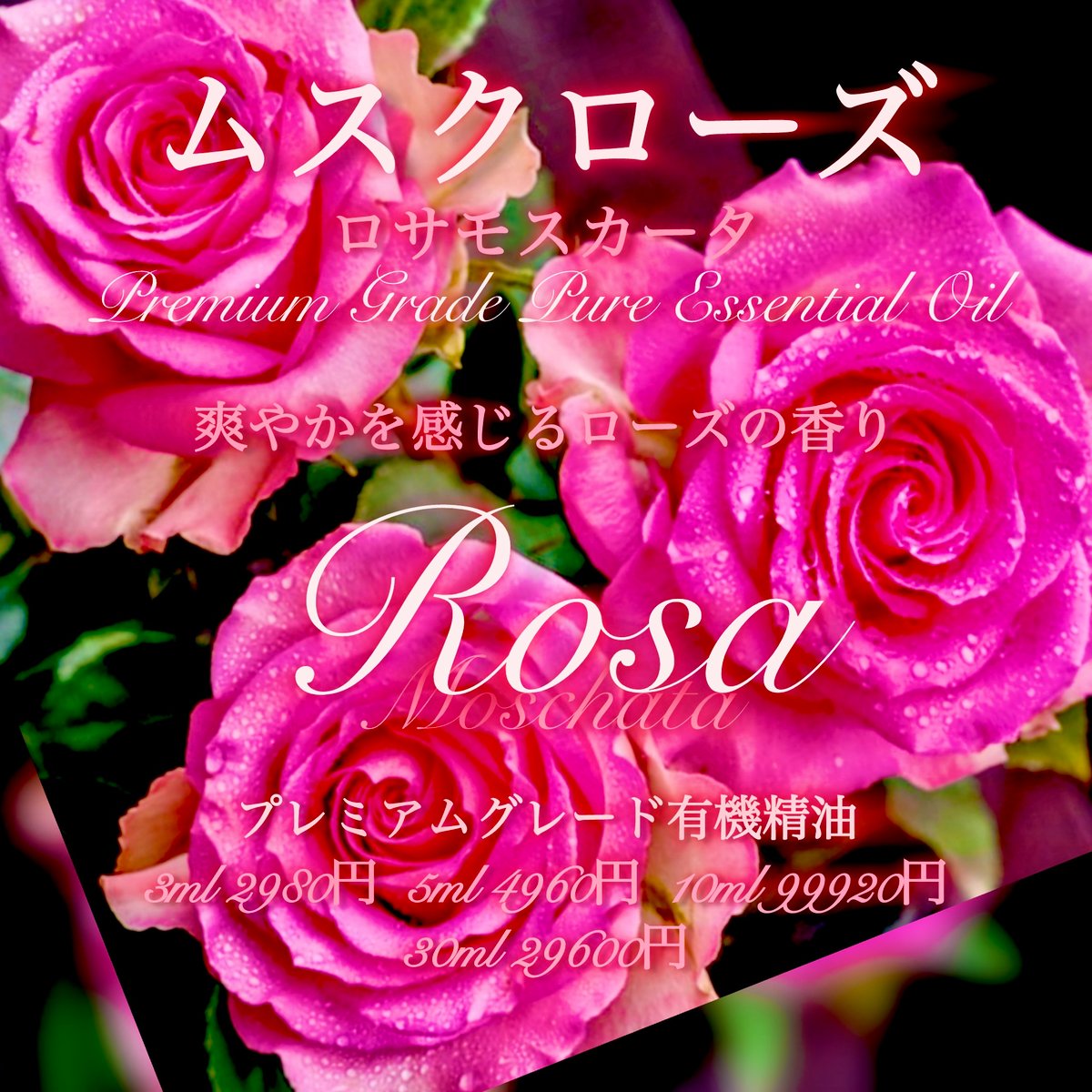 ムスクローズ(ロサモスカータ)精油5ml | Earthshare Aroma