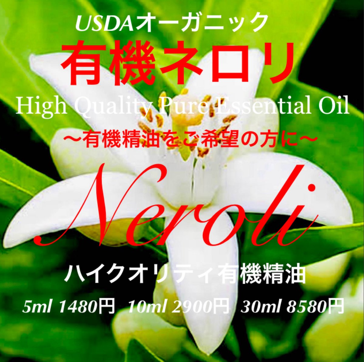 カンファーホワイト&ネロリ エッセンシャルオイル 5ml カンファーホワイト&ネロリ エッセンシャルオイル 泳げ 5ml