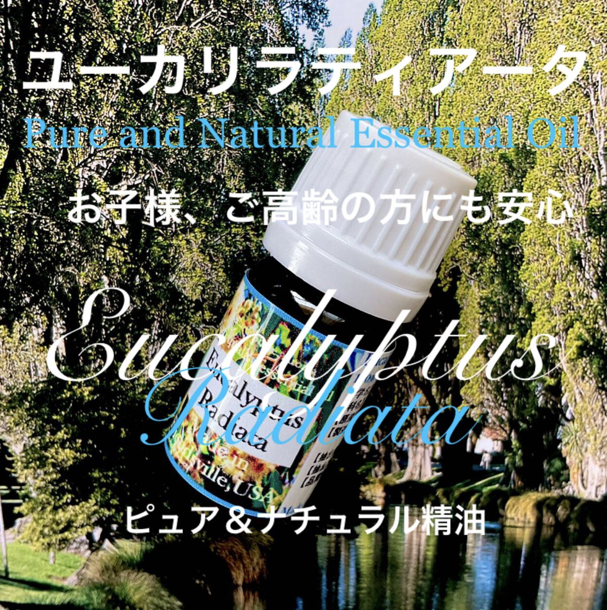 お子様やご高齢の方にも安心】ユーカリラディアータ精油10ml