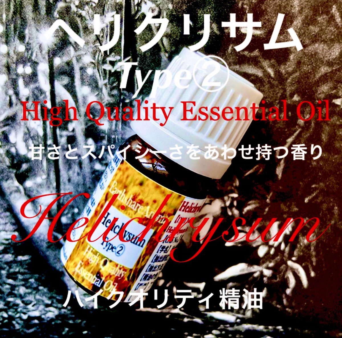 ヘリクリサム（イモーテル）Type②精油5ml | Earthshare Aroma