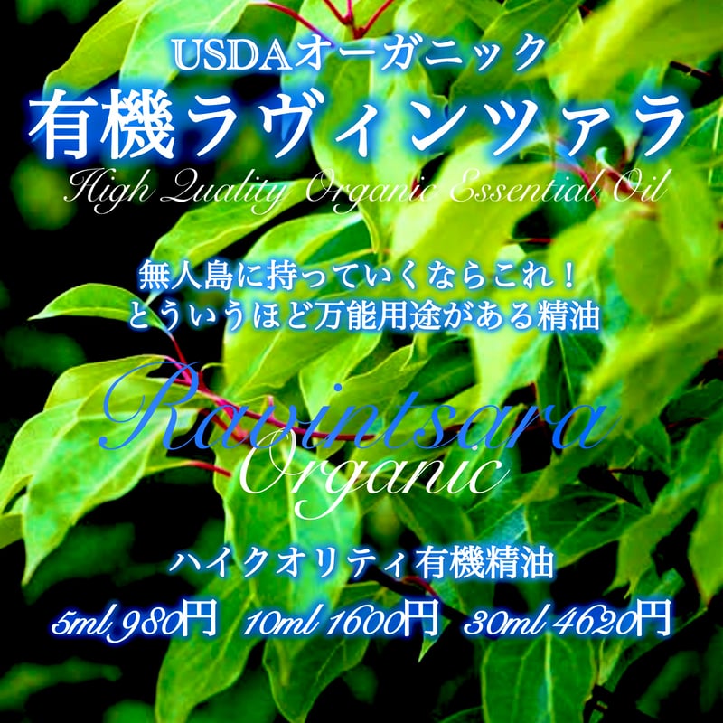 有機ラヴィンツァラ精油5ml | Earthshare Aroma