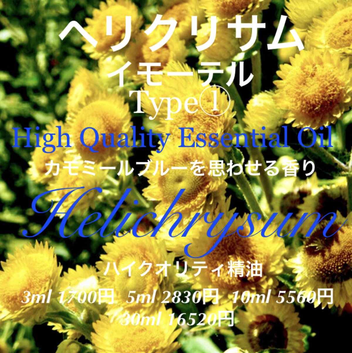 ヘリクリサム（イモーテル）Type①精油3ml | Earthshare Aroma