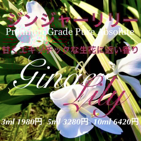 wote精油 ジンジャーリリー wote精油 ジンジャーリリー ジンジャー・リリー 15ml | Wisdom