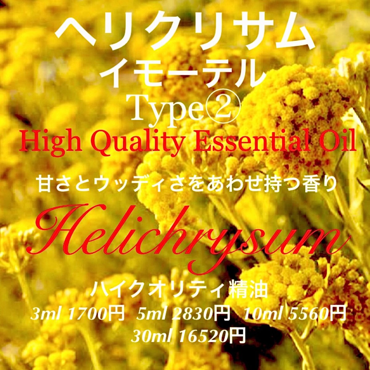 キヨさま】PRANAROM ヘリクリサム(イモーテル) BIO 5ml 精油Ⅰ