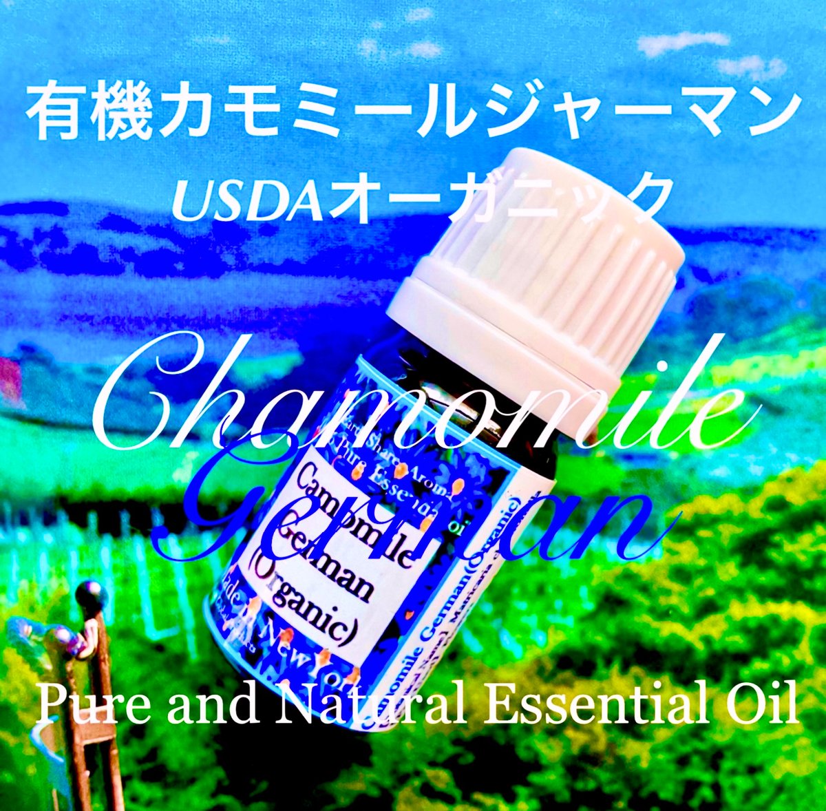 カモミールジャーマン　エッセンシャルオイル　約30ml カモミールジャーマン エッセンシャルオイル 約30ml カモマイル