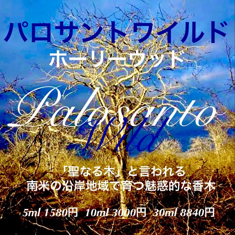 パロサント【公式通販】G:Land(グランド) 1kg☆限定特選品☆希少レア激安☆