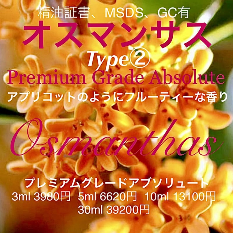 アプリコット様へ♥ （LearningWorld認定校ページ