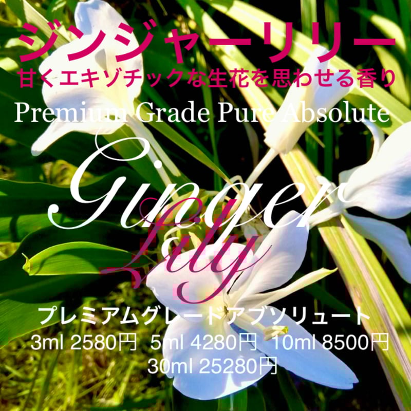 生花を思わせるエキゾチックな香り】ジンジャーリリーアブソリュート