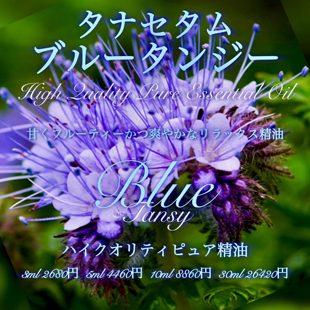 doTERRA Blue Tansy ブルータンジー5mL（未開封） 新品未開封 doTERRA ドテラ ブルータンジー 5ml 期限2029/2/28