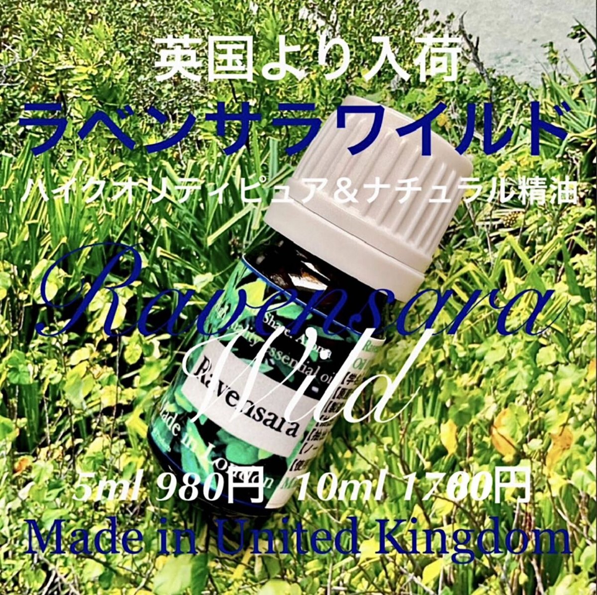 ラベンサラワイルド精油30ml | Earthshare Aroma