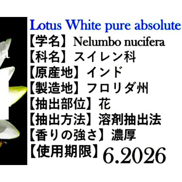 ホワイトロータスアブソリュート10ml | Earthshare Aroma
