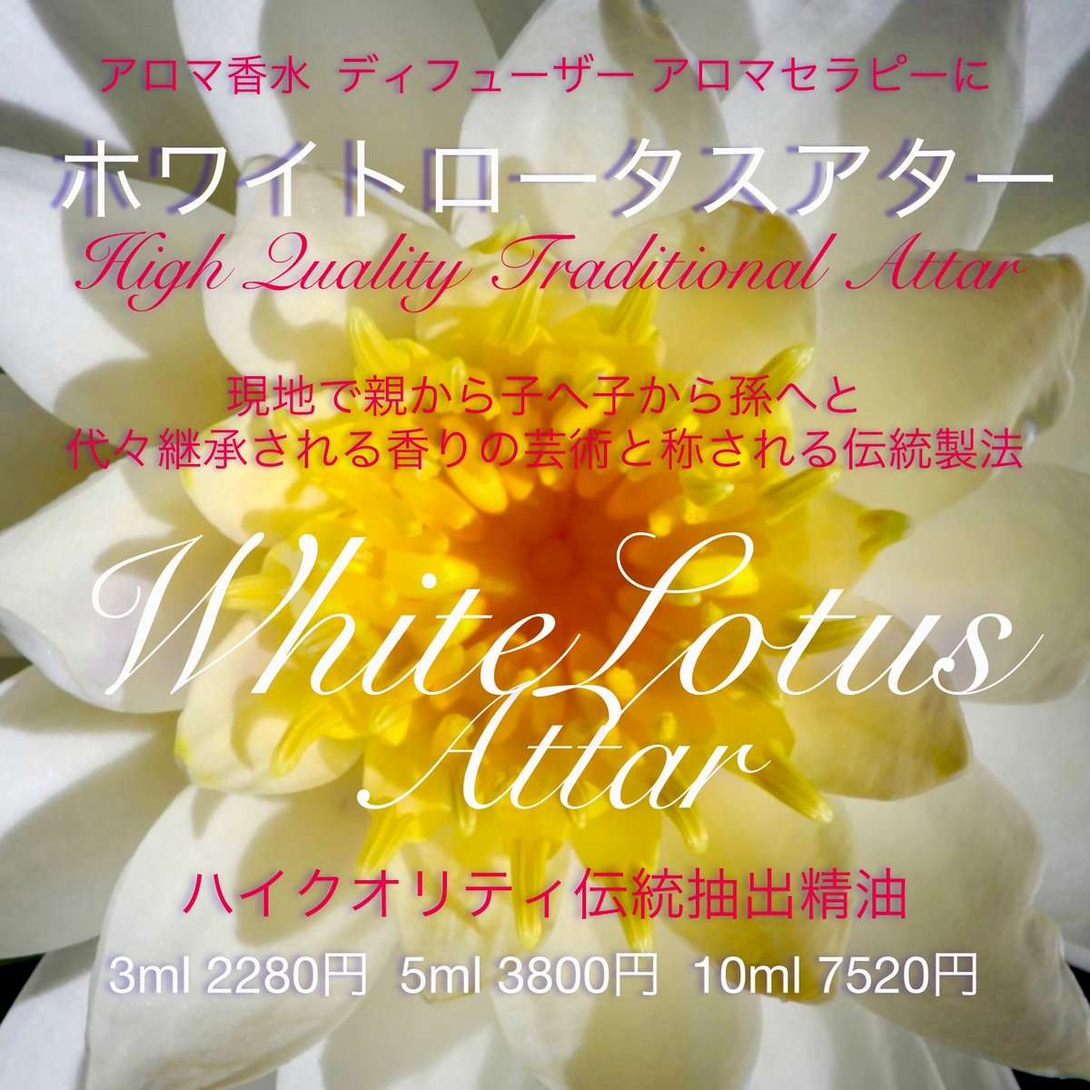 インディアン天然香油】ロータスアター精油5ml | Earthshare Aroma