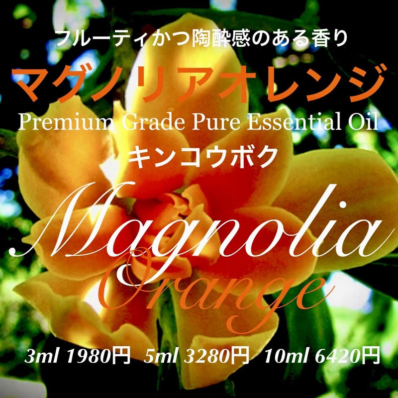 ②*:ஐモクレン科・濃厚な香りの黄色花*:ஐ【キンコウボク（金香木）】