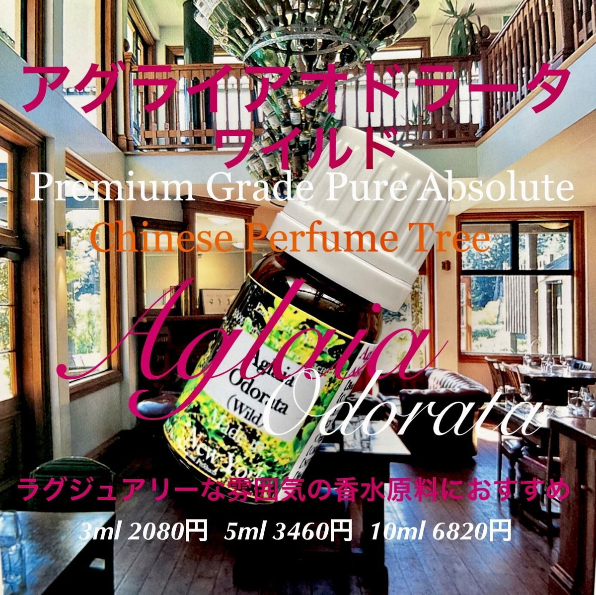 アグライアオドラータ（樹蘭）ワイルドアブソリュート5ml