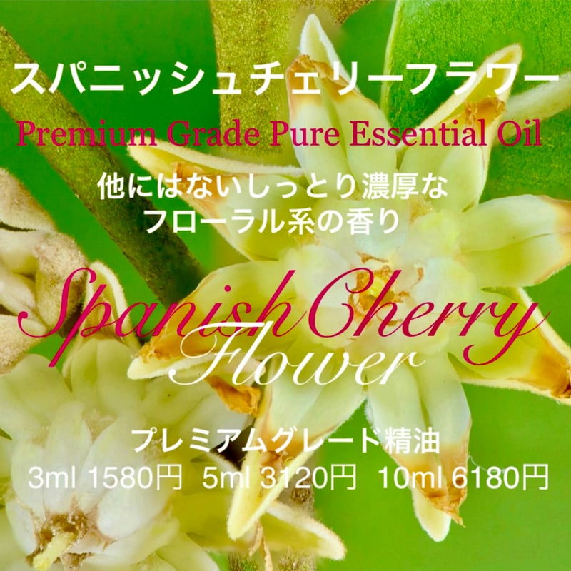 9月上旬まで】SAKIAS ときめき MARGUERITE milieu オープントゥ 