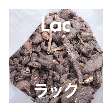 クチナシとラックの草木染 XS 30cmサイズ 麻生平 座布団