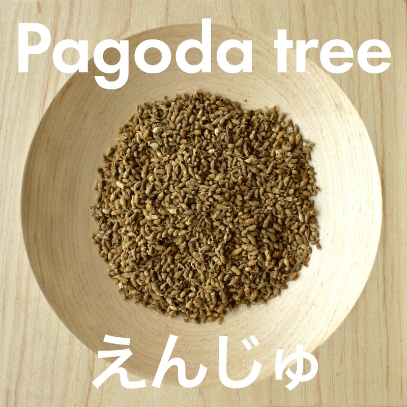 クチナシとえんじゅの草木染 XS 30cmサイズ 麻生平 座布団 | モクさふ