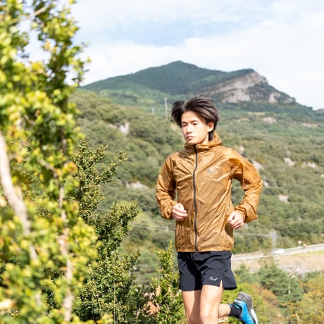 Race WindShell #2 Dark Inaho Gold