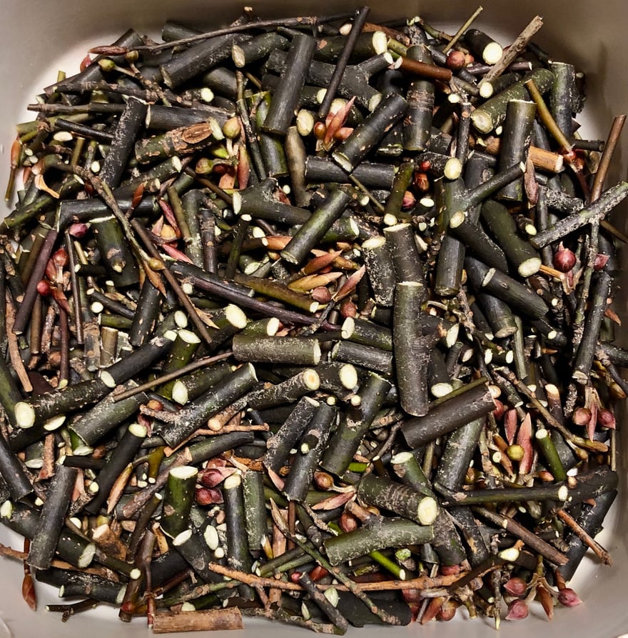 信州高遠のくろもじの枝 250g (送料別) 入荷したタイミングで発送し