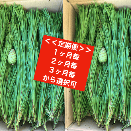 松葉ジュース | STORES