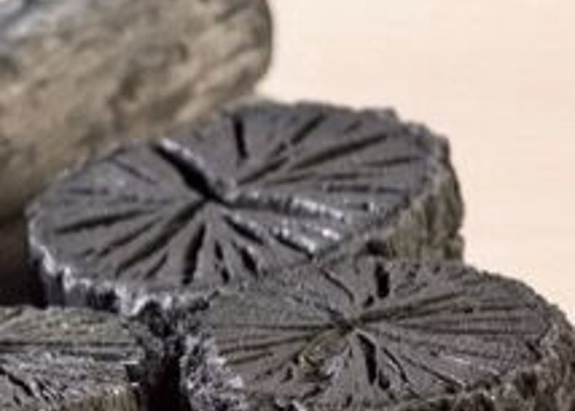 粉】赤松とクロモジと赤松の炭 20g (送料別) ＠火曜日発送 | 高遠里山の風